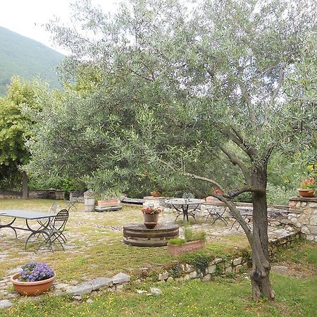 Villa Il Giardino Degli Ulivi à Castelraimondo Extérieur photo